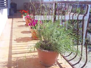 Апартаменты Apartmani Dado Улцинь Апартаменты с 1 спальней - Второй этаж-5